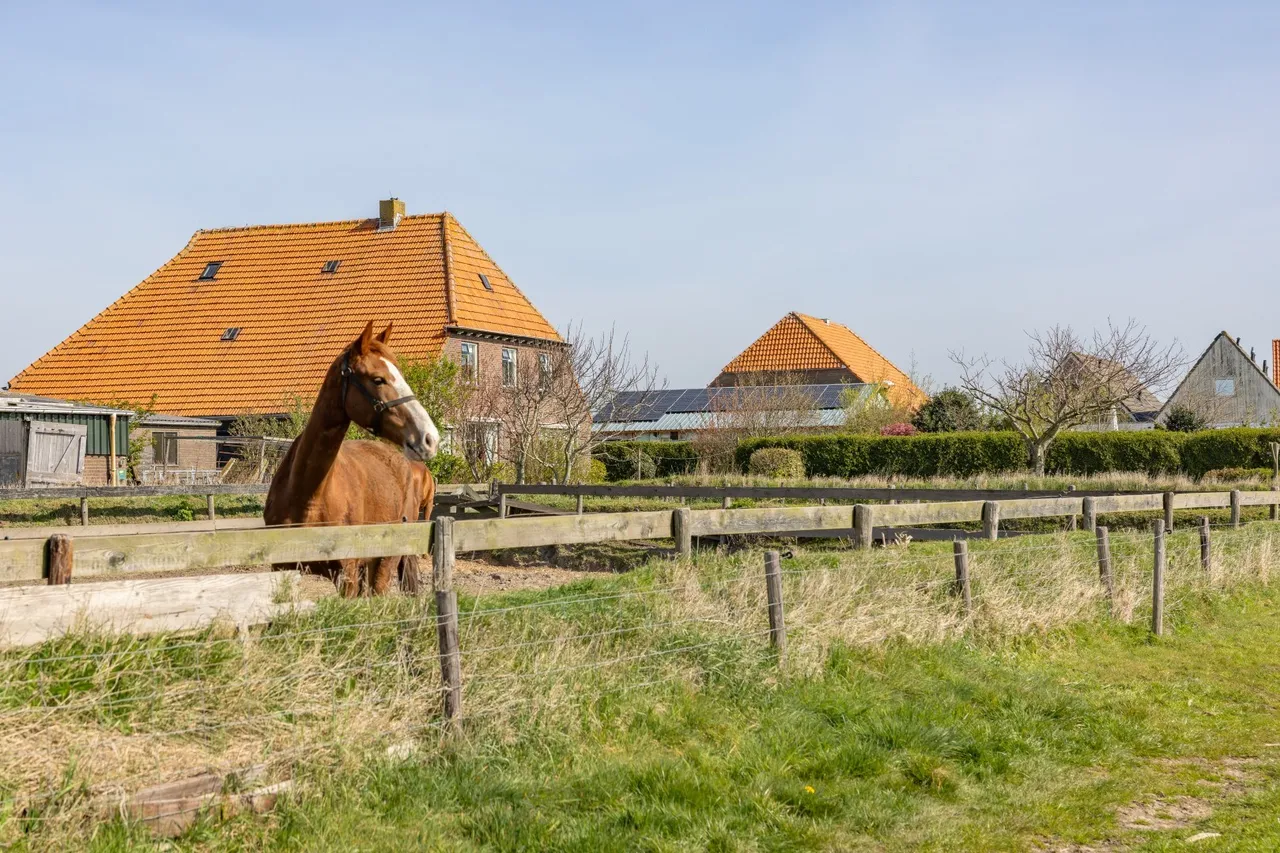 Twee-onder-één-kap te koop: Ongeren 15, Den Burg