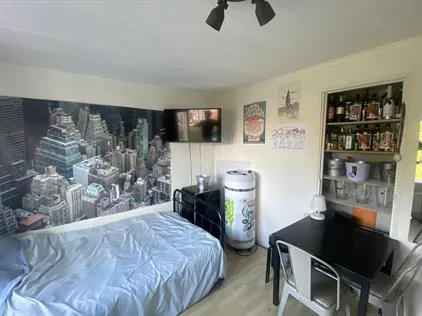 Room for rent: Oppenheimstraat, Professorenbuurt Groningen