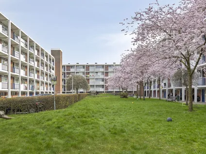 Appartement te koop: Otterrade 24, Venen, Oorden en Raden 'S-Gravenhage