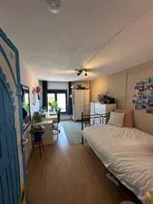 Kamer te huur: Oude Delft, Delft
