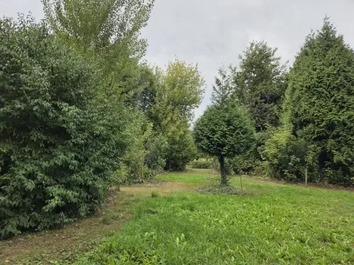 Woning te koop: Oude Maasdijk 24, Dreumel