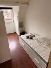 Kamer te huur: Oude Watering, Beverwaard Rotterdam