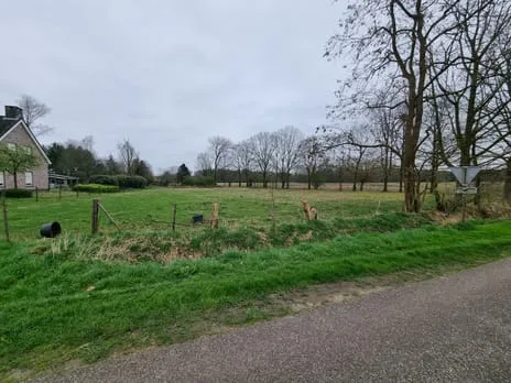 Vrijstaande woning te koop: Oudestraat 2A, Koewacht
