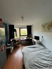 Kamer te huur: Oudraadtweg, Biesland Delft