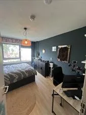 Kamer te huur: Oudraadtweg, Delft