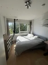 Room for rent: Oudraadtweg, Biesland Delft