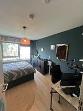 Kamer te huur: Oudraadtweg, Biesland Delft