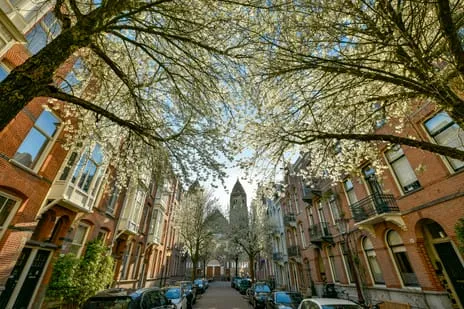 Appartement te koop: Palestrinastraat 32-2, Amsterdam