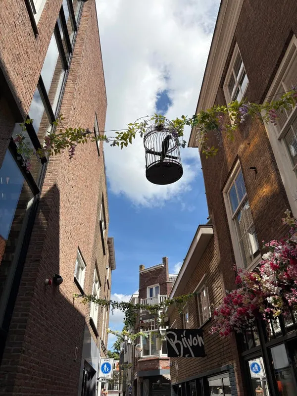 Woning te huur: Papegaaistraat, Goes-Centrum Goes