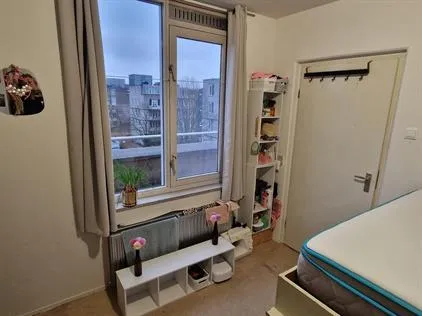 Kamer te huur: Parelstraat, Wittenburg Amsterdam