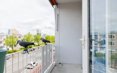 Appartement te koop: Paterswoldseweg 768, Corpus den Hoorn Groningen