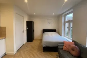 Woning te huur: Paterswoldseweg, Corpus den Hoorn Groningen