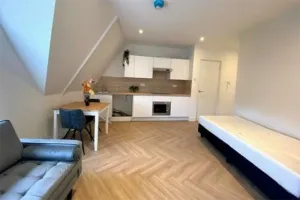 Woning te huur: Paterswoldseweg, Corpus den Hoorn Groningen