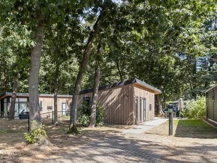Vrijstaande woning te koop: Patrijslaan 4, Buitengebied Mierlo Mierlo