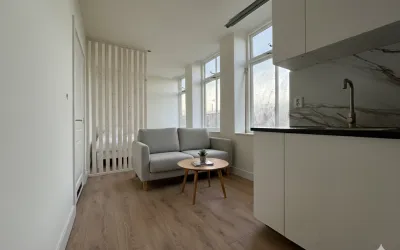 Studio te koop: Paulus Potterstraat 181C, Schildersbuurt-Noord 'S-Gravenhage