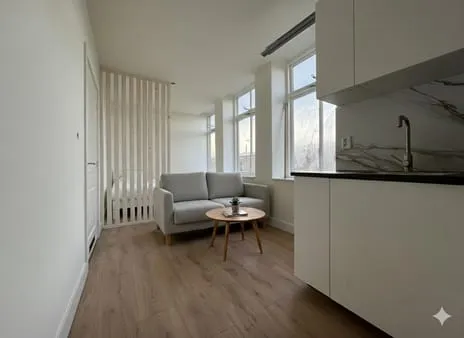 Studio te koop: Paulus Potterstraat 181C, Schildersbuurt-Noord 'S-Gravenhage