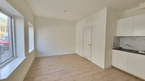Studio te koop: Paulus Potterstraat 185D, Schildersbuurt-Noord 'S-Gravenhage
