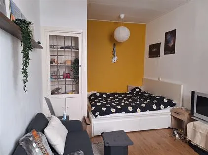 Kamer te huur: Paxlaan, Olofsbuurt Delft