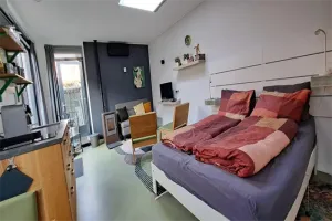 Home for rent: Peizerweg, Zeeheldenbuurt Groningen