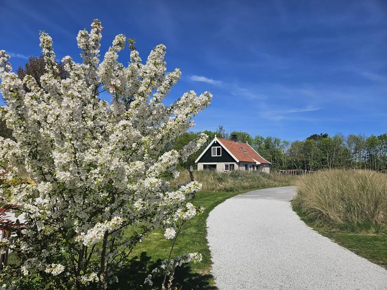 Vrijstaande woning te koop: Pelikaanweg 73E, De Koog