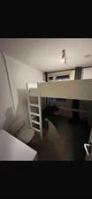 Kamer te huur: Petrus Driessenstraat, Professorenbuurt Groningen