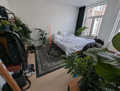 Kamer te huur: Pieter Cornelisz. Hooftstraat, Concertgebouwbuurt Amsterdam