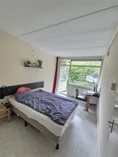 Kamer te huur: Pijperring, Pijperring Delft