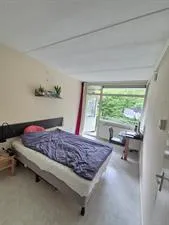 Kamer te huur: Pijperring, Pijperring Delft