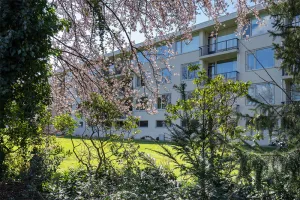 Woning te huur: Pisanostraat, Rapenland Eindhoven