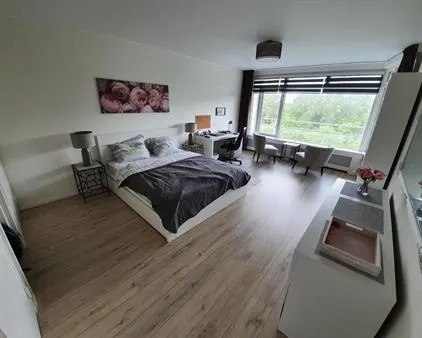 Kamer te huur: Pisuissestraat, 'S-Gravenhage