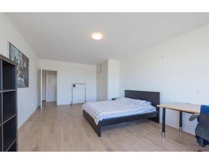Room for rent: Plantijnstraat, Cronestein Leiden