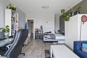 Woning te huur: Plantijnstraat, Leiden