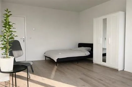 Kamer te huur: Plotinusstraat, Lombardijen Rotterdam
