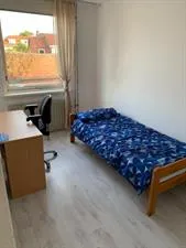 Kamer te huur: Pluimstraat, De Bothoven Enschede