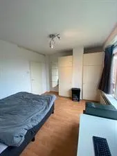 Room for rent: Plutolaan, Paddepoel-Noord Groningen