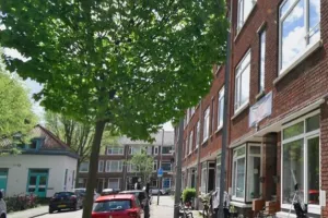 Woning te huur: Poolsestraat, Oud Mathenesse Rotterdam