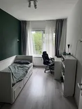 Room for rent: Populierenlaan, Selwerd Groningen