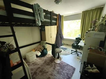 Kamer te huur: Postelse Hoeflaan, Tilburg