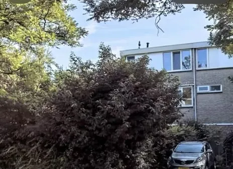 Corner house for rent: Primulalaan 38, Voldijn Waalre