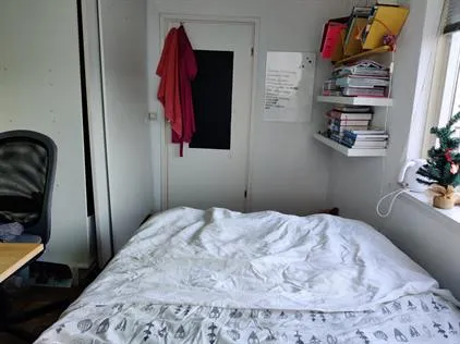 Kamer te huur: Prinsenhof, Buitenhof-Midden-West Leiderdorp