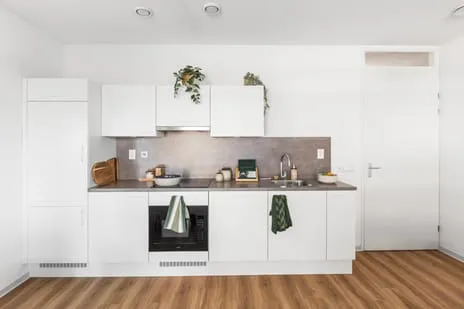 Woning te huur: Prinses Alexia Promenade 63, Rijswijk (Zh)