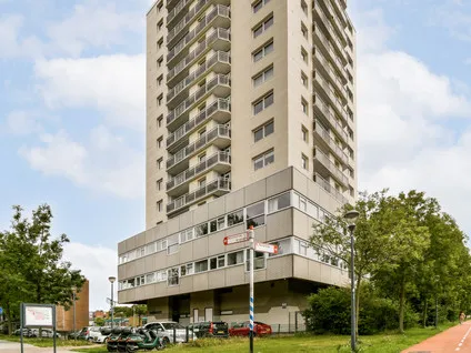 Appartement te koop: Professor Van Der Scheerstraat 203A, Professorenbuurt Haarlem