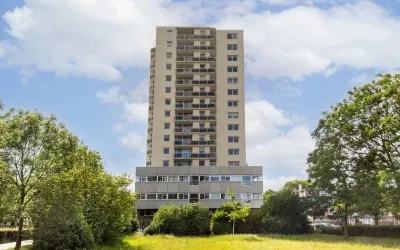 Appartement te koop: Professor Van der Scheerstraat 253, Professorenbuurt Haarlem