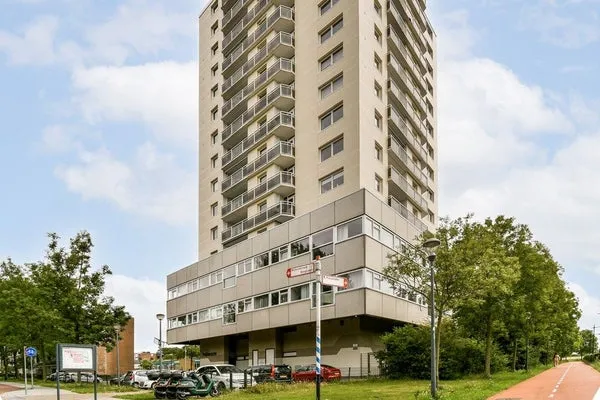 Woning te koop: Professor Van der Scheerstraat, Professorenbuurt Haarlem