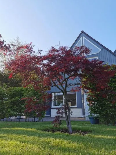 Twee-onder-één-kap te koop: Prunuslaan 121, Oudorp-Noord en Oudorp-Oost Oudorp