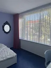 Kamer te huur: Reeweg Oost, Indische Buurt-Zuid Dordrecht