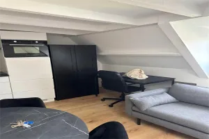 Woning te huur: Regentesseplein, Koningsplein e.o. 'S-Gravenhage