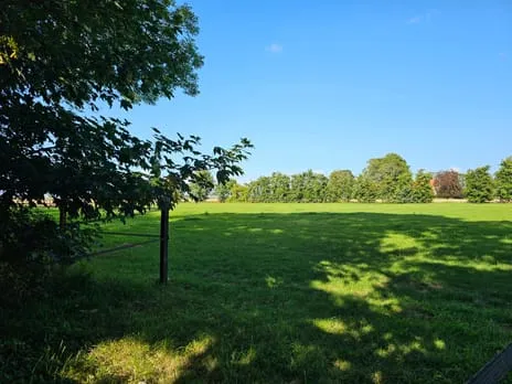 Vrijstaande woning te koop: Reiderwolderpolder 27, Verspreide huizen Finsterwolde Finsterwolde