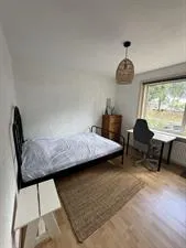 Kamer te huur: Reigerstraat, Vogelplein-Aalscholverstraat en omgeving Dordrecht