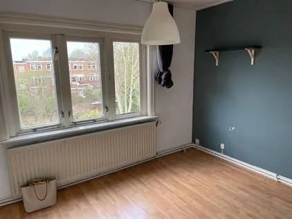 Kamer te huur: Reigerstraat, Professorenbuurt Groningen